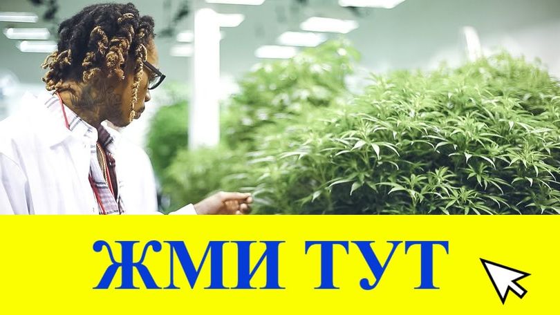 Купить наркотики в Кизилюрте